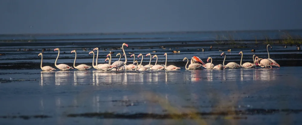 Golden Triangle Of Odisha